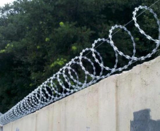 Captura de tela 2024-03-25 015448 (Copy)