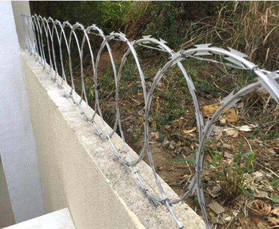 Captura de tela 2024-03-25 015458 (Copy)