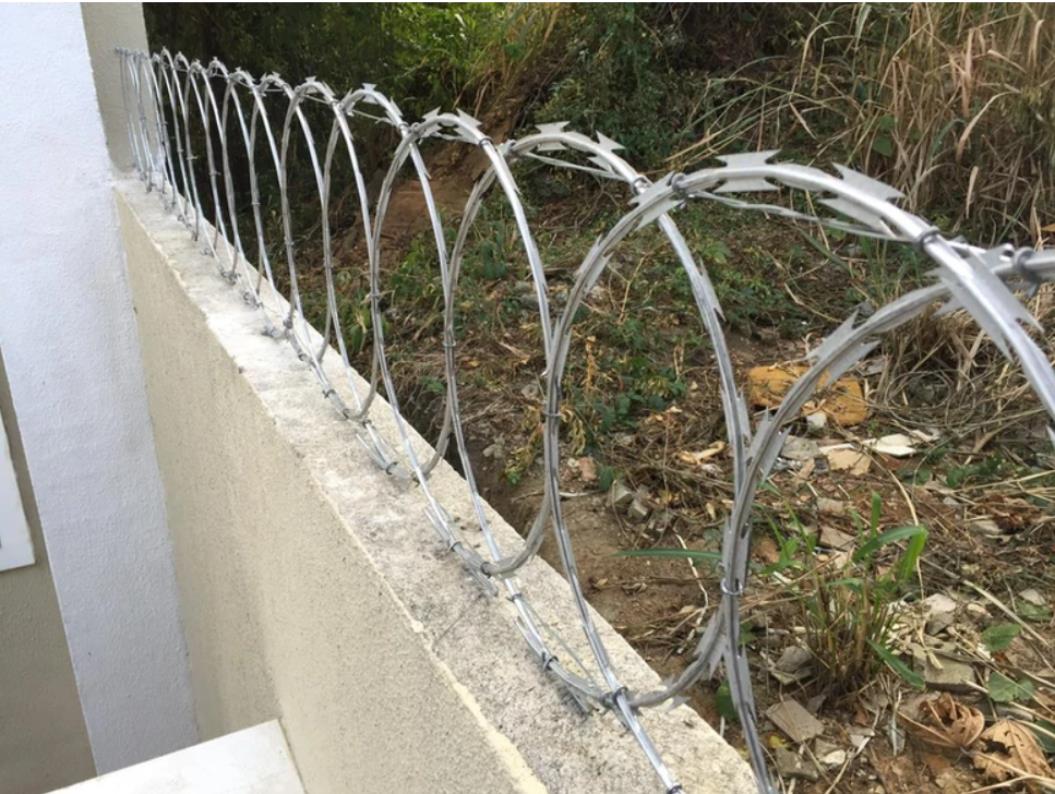 Captura de tela 2024-03-25 015458 (Copy)