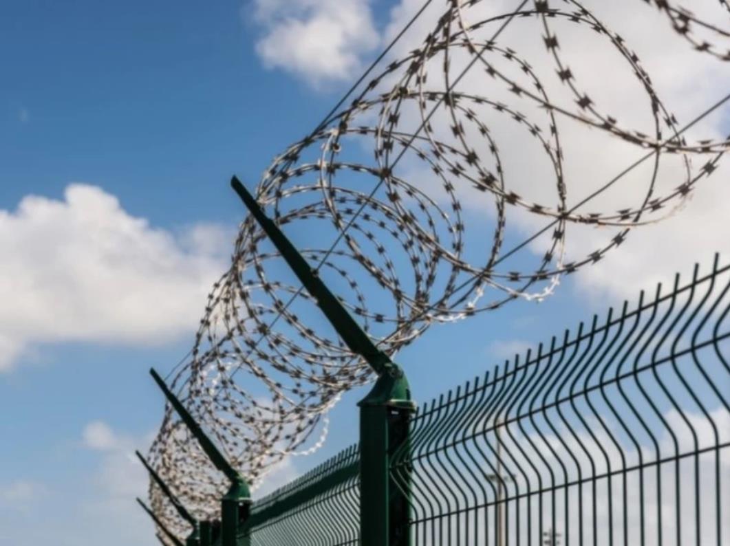 Captura de tela 2024-03-25 015515 (Copy)